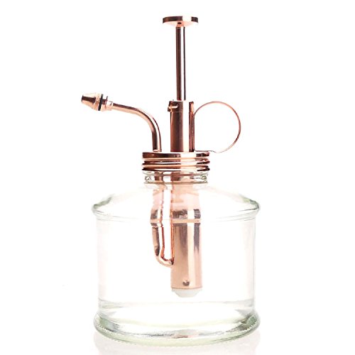 Product Cover Purism Style Plant Mister- Glass Bottle & Brass Sprayer (Clear & Rose Gold)
