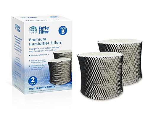 Product Cover Fette Filter - Humidifier Filter Compatible with Holmes HWF64 - Filter B (Pack of 2)