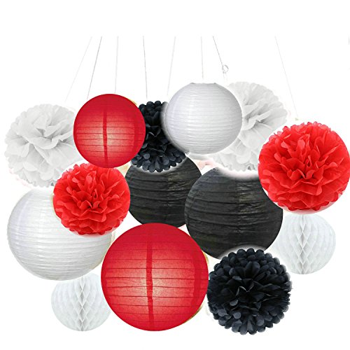 Product Cover Fascola Tissue Paper Pom Pom Flowers and Paper Lanterns Party Decoration, 14 Pieces