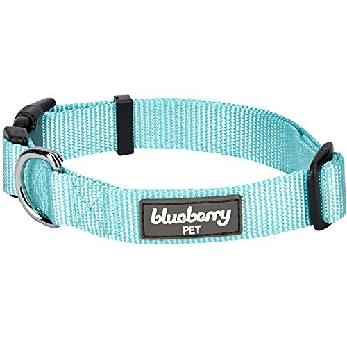 Product Cover Blueberry Pet 22 Colors Classic Dog Collar, Mint Blue, Small, Neck 12