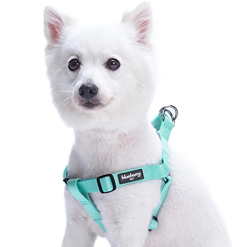 Product Cover Blueberry Pet 19 Colors Step-in Classic Dog Harness, Chest Girth 26