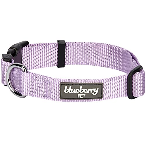 Product Cover Blueberry Pet Essentials 22 Colors Classic Dog Collar, Lavender, Medium, Neck 14.5