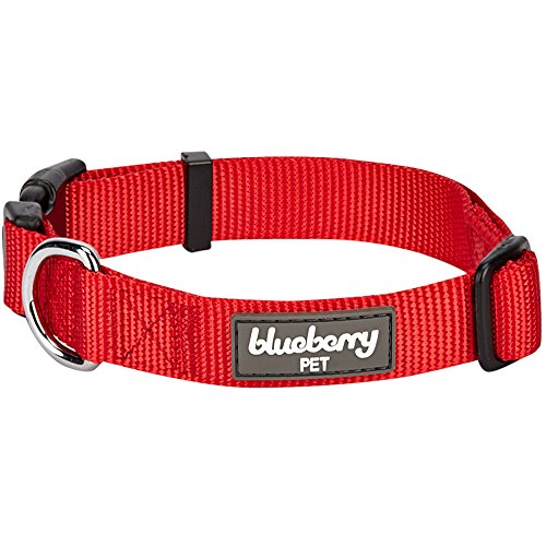 Product Cover Blueberry Pet 22 Colors Classic Dog Collar, Rouge Red, X-Small, Neck 8