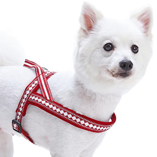 Product Cover Blueberry Pet 4 Colors Soft & Comfy 3M Reflective Jacquard Padded Dog Harness, Chest Girth 16.5