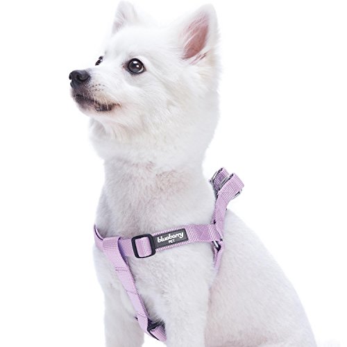 Product Cover Blueberry Pet Essentials 19 Colors Step-in Classic Dog Harness, Chest Girth 26
