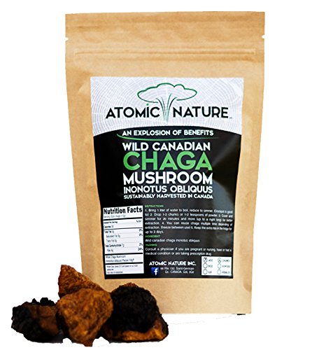 Product Cover 4oz Raw Organic Wild Chaga Mushroom Tea Chunks - 100% Natural Hand-Harvested Canadian Forest Chaga Superfood, Healthy Immune System Booster & Antioxidant, Perfect Size for Brewing