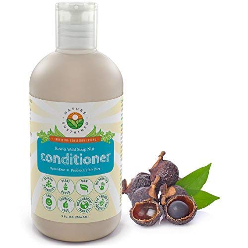 Product Cover Pure, Sensitive Skin Cleansing Conditioner [Unscented] - Raw Probiotic Soapberry Formula (pH Balanced) for Hydrated & Soft Hair - Wild Plants Selected for Itchy Scalp & Dry, Damaged Hair
