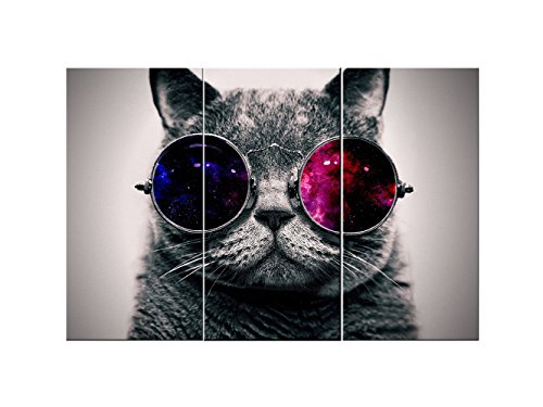 Product Cover Canvas Wall Art 3 Panels Cut Cat with Glasses Wall Art Canvas Prints Animal Head Pictures Paintings on Canvas Stretched and Framed for Living Room Bedroom Home Decoration