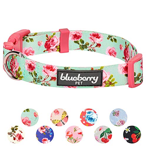 Product Cover Blueberry Pet 11 Patterns Spring Scent Inspired Floral Rose Print Turquoise Adjustable Dog Collar, Medium, Neck 14.5