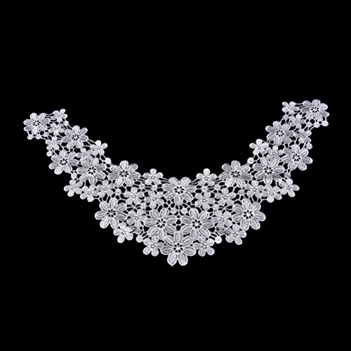 Product Cover 1 Pcs Embroidered Floral Lace Neckline Neck Collar Trim Clothes Sewing Patch by UBOOMS