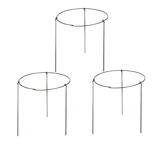 Product Cover rescozy (Pack of 6) Small Garden Plant Support Rings, 7.9