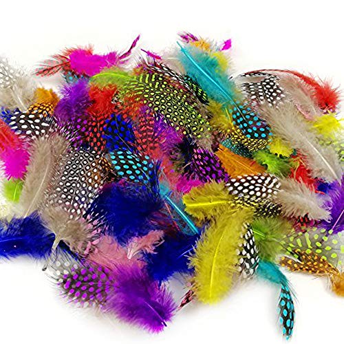 Product Cover JPSOR 120pcs 3-6 Inches Colorful Spotted Feathers for DIY Craft, Jewelry and Clothing Decoration, 10 Colors