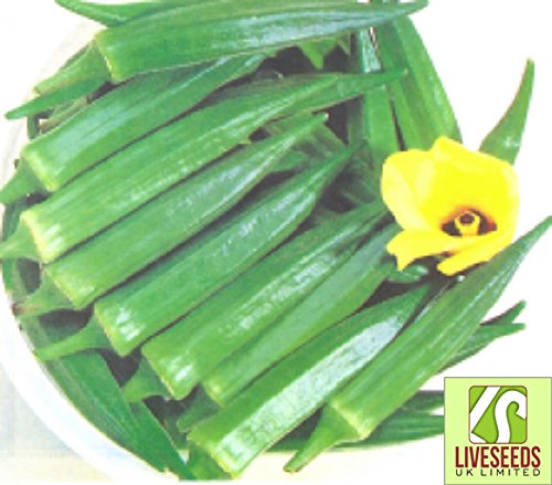Product Cover Liveseeds - Indian Okra-Chanchal 30 Finest Seeds