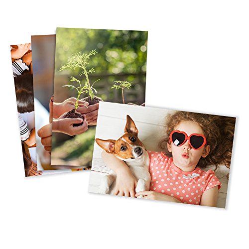 Product Cover Photo Prints - Glossy - Standard Size (4x6)