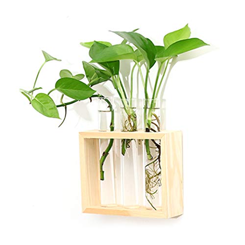 Product Cover Ivolador Wall Mounted Hanging Planter Test Tube Flower Bud Vase Tabletop Glass Terrariumin Wooden Stand Perfect for Propagating Hydroponic Plants Home Garden Wedding Decoration