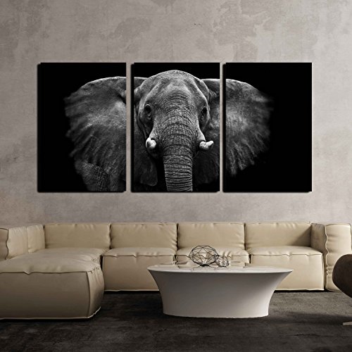 Product Cover wall26 - Elephant on Black Background - Canvas Art Wall Decor - 16