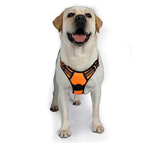 Product Cover rabbitgoo Dog Harness No-Pull Pet Harness Adjustable Outdoor Pet Vest 3M Reflective Oxford Material Vest for Dogs Easy Control for Small Medium Large Dogs (Orange, XL)