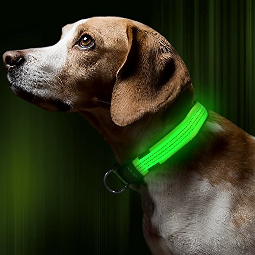 Product Cover BSEEN LED Dog Collar, USB Rechargeable Light Up Safety Pet Collar with 3 Glowing Modes & 3 Reflective Strings, Adjustable Soft Nylon Webbing, Great for Small Medium Large Dogs (Small, Neon Green)