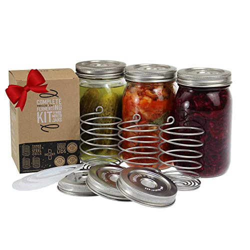 Product Cover Trellis + Co. Stainless Steel Fermentation Jar Kit | 3 Waterless Fermenter Airlock Lids & 3 Pickle Helix Fermentation Weights, For Wide Mouth Mason Jars | Recipe eBook Included With Fermenting Kit