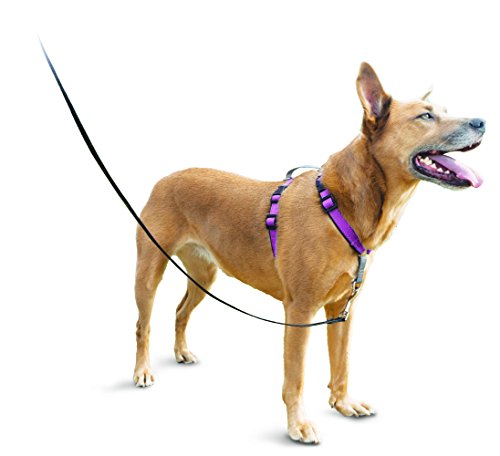 Product Cover PetSafe 3in1 Harness, from The Makers of The Easy Walk Harness, Fully Adjustable No-Pull Dog Harness
