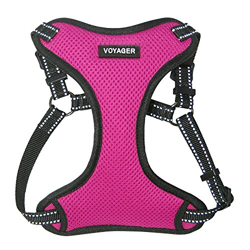 Product Cover Voyager Step-in Flex Dog Harness - All Weather Mesh, Step in Adjustable Harness for Small and Medium Dogs by Best Pet Supplies - Fuchsia, Large