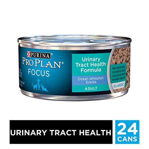 Product Cover Purina Pro Plan Urinary Tract Health Pate Wet Cat Food, FOCUS Urinary Tract Health Formula Ocean Whitefish Entree - (24) 5.5 oz. Cans
