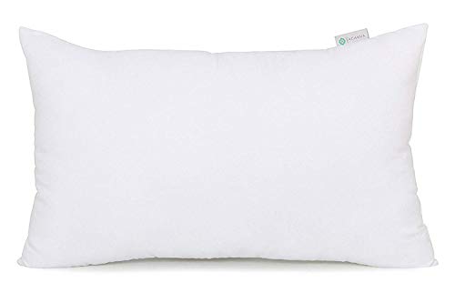 Product Cover Acanva Decorative Rectangle Throw Pillow Inserts Hypoallergenic Form Stuffer Cushion Sham Filler, 16x26, White