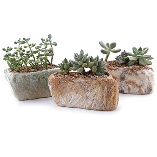 Product Cover T4U 5.5 Inch Succulent Planter Pot with Drainage Hole Set of 3, Stone Shape Porcelain Handicraft Cactus Plant Containers Gift for Mom Sister Aunt Best for Home Office Table Desk Decoration