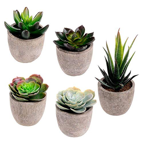 Product Cover Assorted Decorative Faux Succulent Artificial Succulent Cactus Fake Cacti Plants with Gray Pots, Set of 5