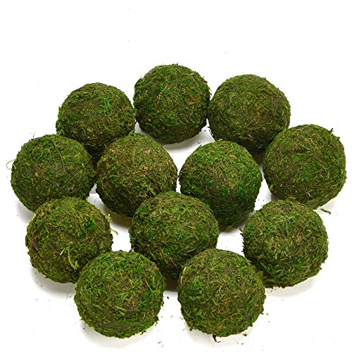 Product Cover Byher Natural Green Moss Decorative Ball,Handmade (3.5