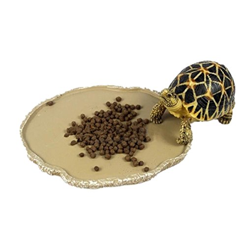 Product Cover UEETEK Pets Feeding Plate Reptile Feeding Bowl Vivarium Food Water Dish Resin Bowl for Turtle Gecko Snake Pet Breeding Tray