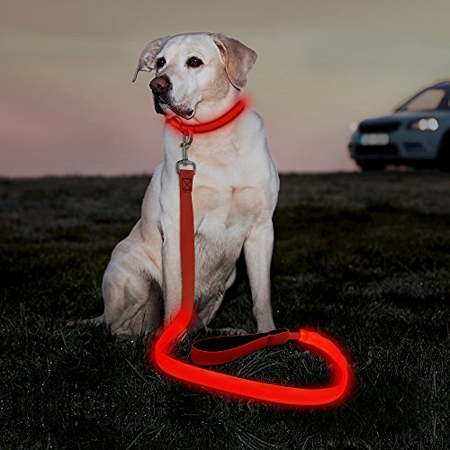 Product Cover Illumifun LED Dog Leash, 47.2inch Nylon Glowing Pet Leash, USB Rechargeable Light Up Dog Lead Makes Your Dog Visible& Safe at Night(Red)