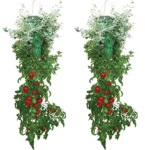 Product Cover Allstar Innovations Topsy Turvy Deluxe- New & Improved Upside Down Tomato & Herb Planter - As Seen On TV