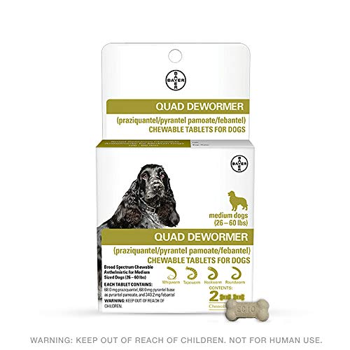 Product Cover Bayer 68mg Medium 26-60 lb Dog 2 count Quad Chewable Dewormer