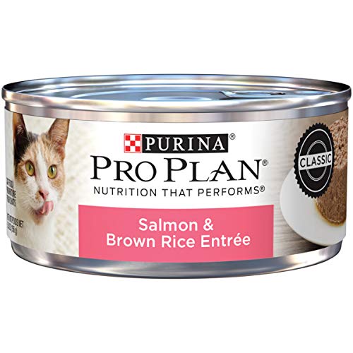 Product Cover Purina Pro Plan Pate Wet Cat Food, Salmon & Brown Rice Entree - (24) 5.5 oz. Cans