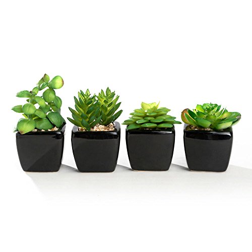 Product Cover Nattol Modern Mini Artificial Succulent Plants Potted in Cube-Shape White Ceramic Pots for Home Decor, Set of 4 (Black)