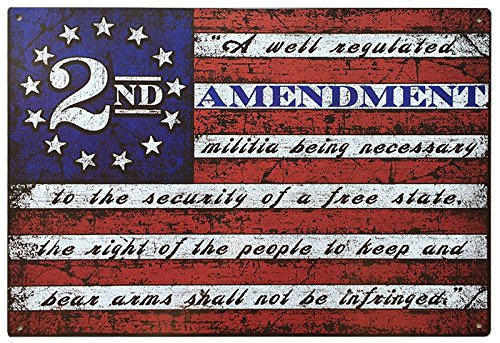Product Cover This Well Defend 2nd Amendment Brand Vintage American Flag Tin Sign 11