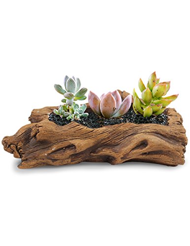 Product Cover Dahlia Driftwood Stump Log Concrete Planter/Succulent Pot/Plant Pot, 7.8L x 4.3W