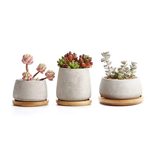 Product Cover T4U 3 Inch - 4.25 Inch Cement Succulent Cactus Pot, Concrete Planter Pot Container Window Box, Small Clay Pot for Plants Flowers with Drainage Bamboo Tray for Home Decor, Set of 3(Grey)