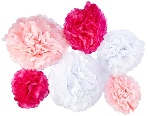 Product Cover 24pcs Craft Paper Tissue Pom Poms, Doubletwo Ceiling Decor Wall Decor; 12in 10in 8in Hanging Paper Pom-poms Flower Ball Wedding Party Outdoor Decoration Flowers Craft Kit (Pink White)