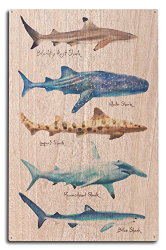 Product Cover Lantern Press Shark Names - Watercolor (10x15 Wood Wall Sign, Wall Decor Ready to Hang)