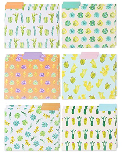 Product Cover File Folders - 12-Pack Decorative File Folders, 6 Beautiful Succulent Plant Colorful File Folders, Designer File Folders - Letter Size 1/3 Cut 1/2 inch Top Memory Tab, 11.5 x 9 inches