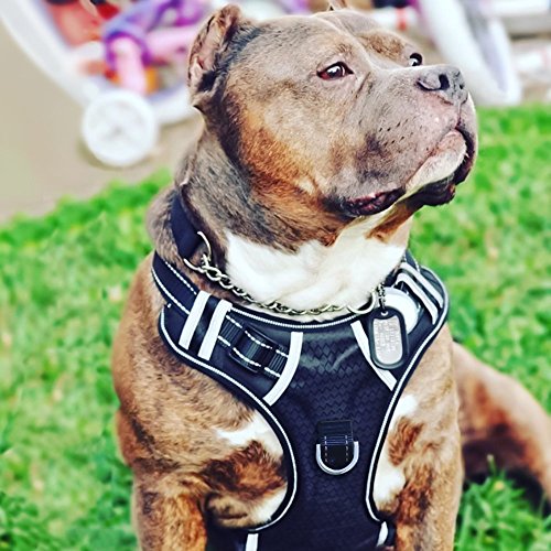 Product Cover Big Dog Harness No Pull Adjustable Pet Reflective Oxford Soft Vest for Large Dogs Easy Control Harness