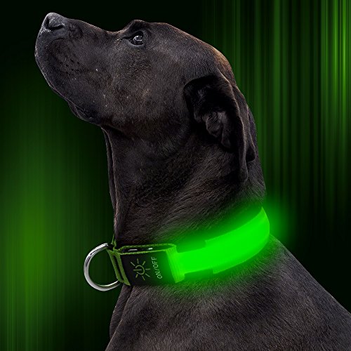 Product Cover Illumifun LED Dog Collar, USB Rechargeable Glowing Safety Collar, Nylon Adjustable Light Up Collar Make Your Dog Be Visible& Safe in The Dark(Green, Medium)