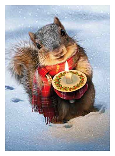 Product Cover Avanti 10-Count Christmas Cards, Little Squirrel with a Candle