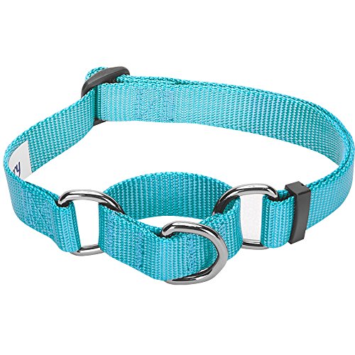 Product Cover Blueberry Pet 19 Colors Safety Training Martingale Dog Collar, Medium Turquoise, Large, Heavy Duty Nylon Adjustable Collars for Dogs