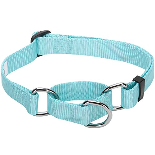 Product Cover Blueberry Pet Essentials 19 Colors Safety Training Martingale Dog Collar, Mint Blue, Medium, Heavy Duty Nylon Adjustable Collars for Dogs