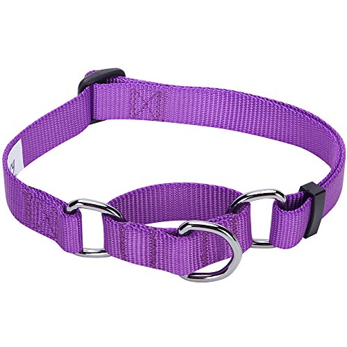 Product Cover Blueberry Pet Essentials 19 Colors Safety Training Martingale Dog Collar, Dark Orchid, Large, Heavy Duty Nylon Adjustable Collars for Dogs