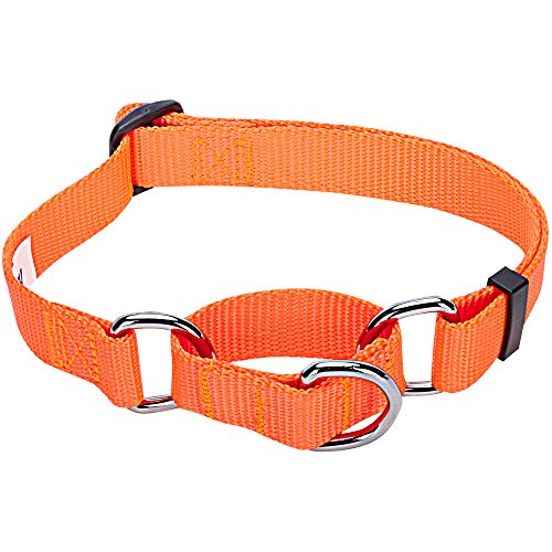 Product Cover Blueberry Pet Essentials 19 Colors Safety Training Martingale Dog Collar, Florence Orange, Large, Heavy Duty Nylon Adjustable Collars for Dogs