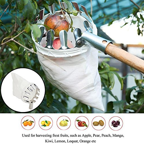 Product Cover STARRICH Fruit Picker Head Basket or Fruit Picking Tools, Fruits Catcher for Harvest Picking Apple Citrus Pear Peach, etc